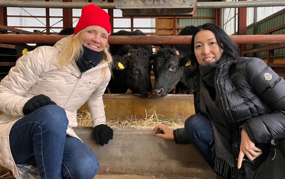 Wagyu veise tehas ja farm