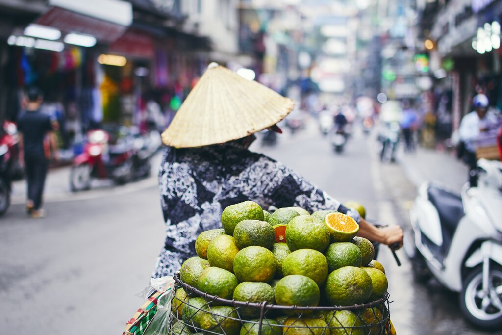 vietnami trip